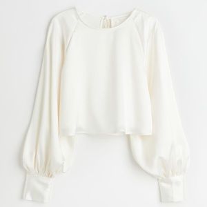 Satin Crop Blouse (Rarely Used)